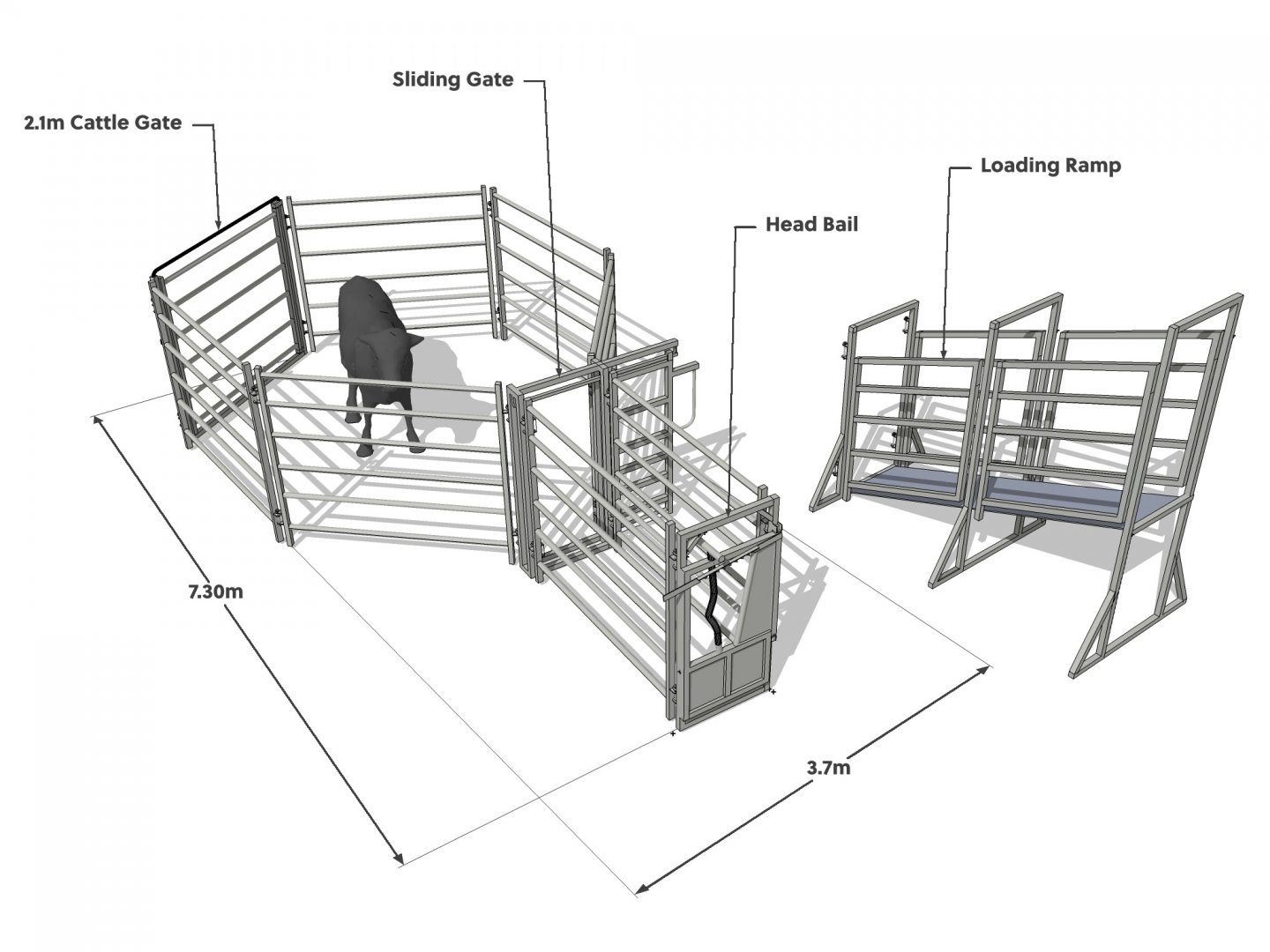 10 Head Cattle Yard with Head Bail and Loading Ramp