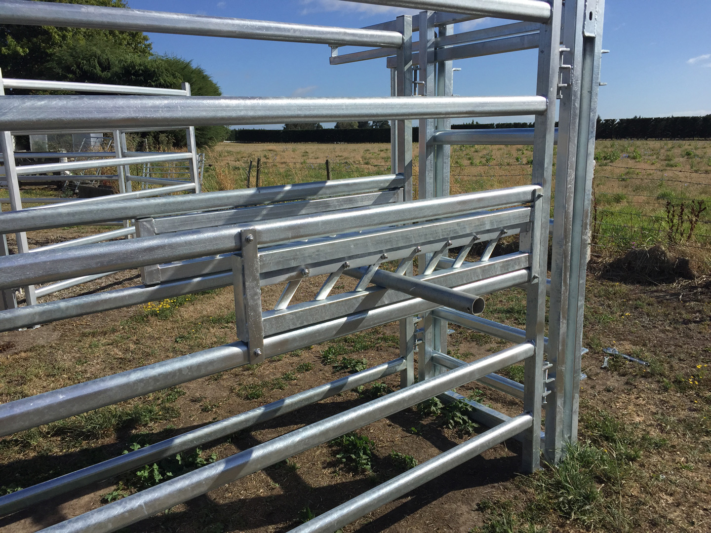 Cattle Yards | Premium Stock Yards New Zealand