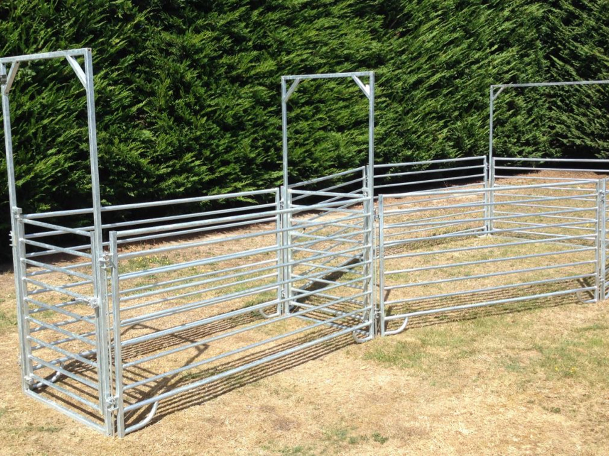 10-15 Head Sheep Yard | Premium Stock Yards New Zealand