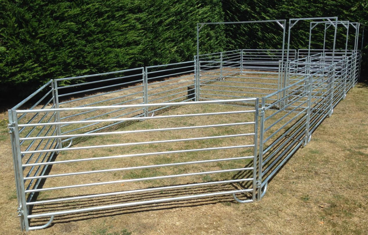 120 Head Sheep Yard | Premium Stock Yards New Zealand