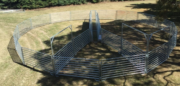 Steel Sheep Yards for Sale NZ | Premium Stock Yards