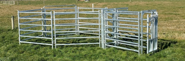 Popular Cattle Yard Designs | Premium Stock Yards New Zealand