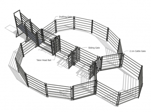 Popular Cattle Yard Designs | Premium Stock Yards New Zealand