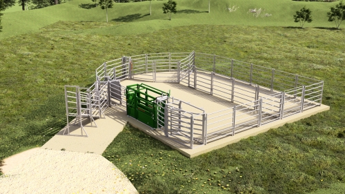 Cattle Yard Design