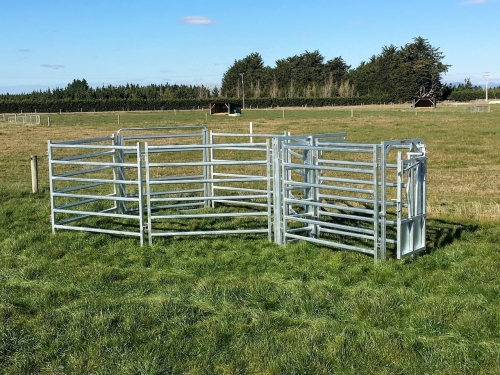 Popular Cattle Yard Designs | Premium Stock Yards New Zealand