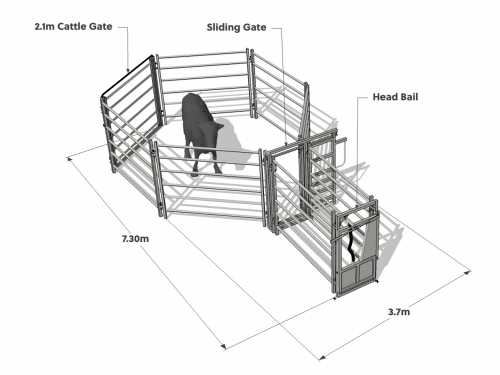 Popular Cattle Yard Designs | Premium Stock Yards New Zealand