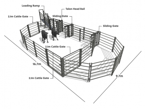 Popular Cattle Yard Designs | Premium Stock Yards New Zealand